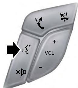 FORD Edge Phase 1 (2015-2018) - COMMANDE VOCALE (Selon - 1