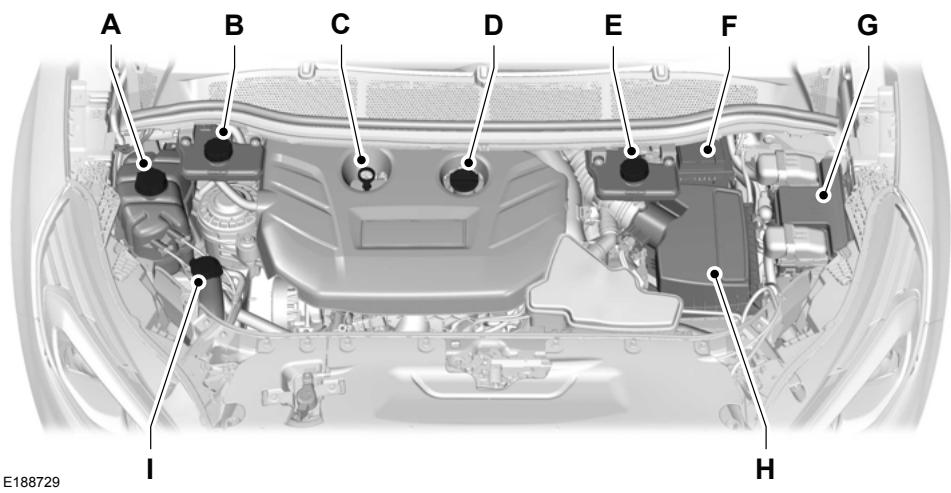 FORD Edge Phase 1 (2015-2018) - APERÇU SOUS LE CAPOT-2 LECOBOOST™ - 1