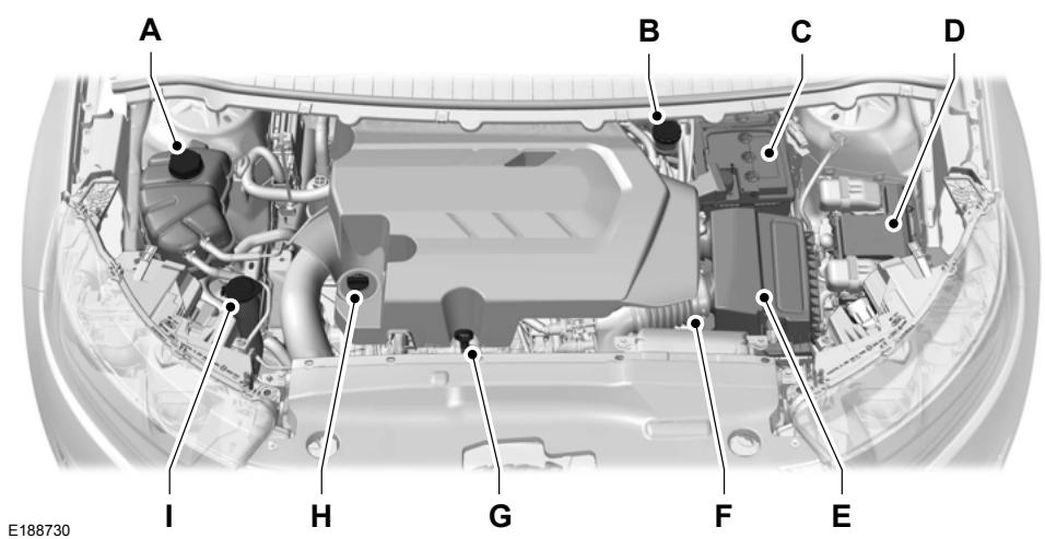 FORD Edge Phase 1 (2015-2018) - APERÇU SOUS LE CAPOT-2 LECOBOOST™ - 2