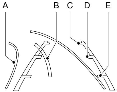 FORD Edge Phase 1 (2015-2018) - Lignes de guidage de laamera - 1