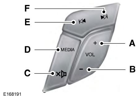 FORD Edge Phase 1 (2015-2018) - COMMANDE AUDIO - VEHICULES SANS : COMMANDE VOCALE - 1