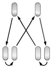 GMC Sierra (2024) - Permutation des pneus jumelés - 1