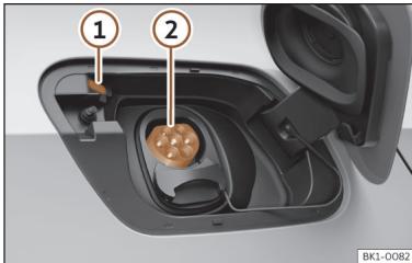 Cupra Born (2022) - Charger avec courant alternatif (CA) - 1