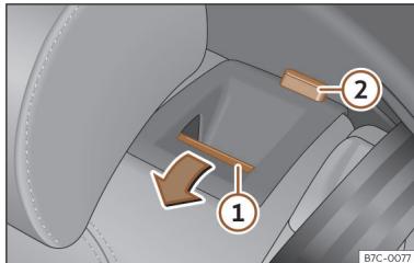 Cupra Born (2022) - Banquettes arriere - 1