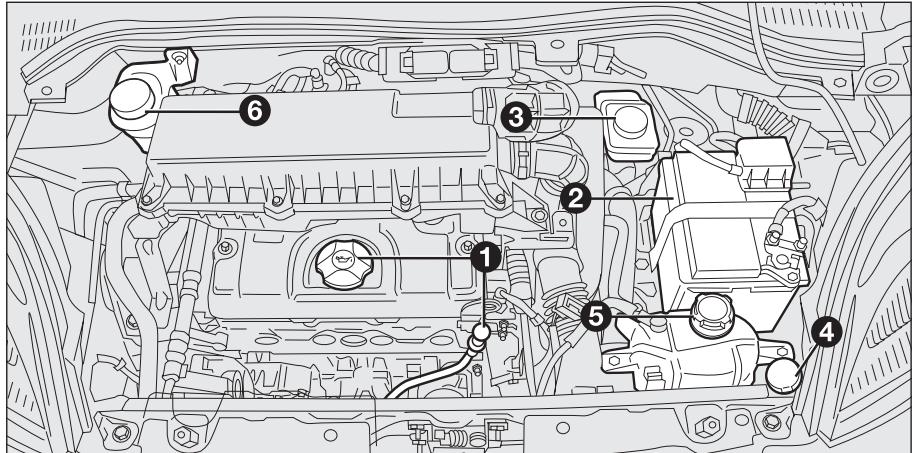 FIAT Fiorino QUBO (2007-2017) - ATTENTION - 1
