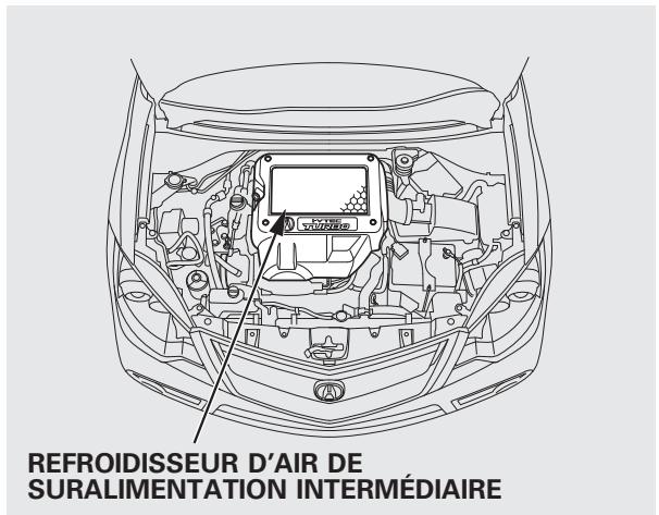 Acura RDX (2012) - REMARQUE - 1