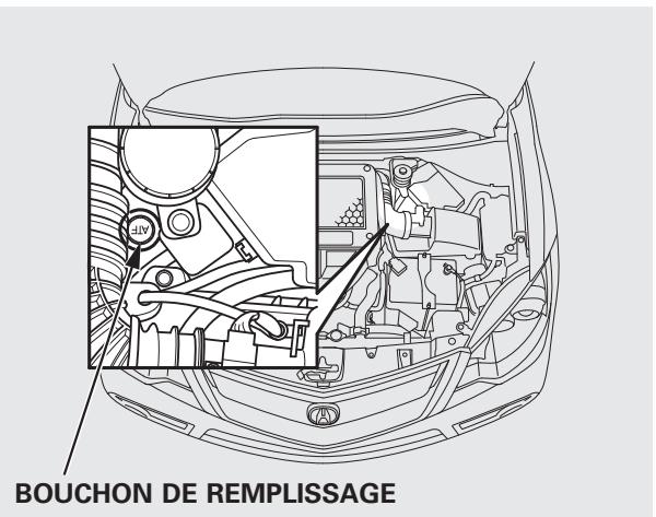 Acura RDX (2012) - Liquide de la boîte de vitesses automatique - 3