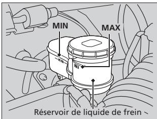 Acura ZDX (2013) - Vérification du liquide de frein - 1