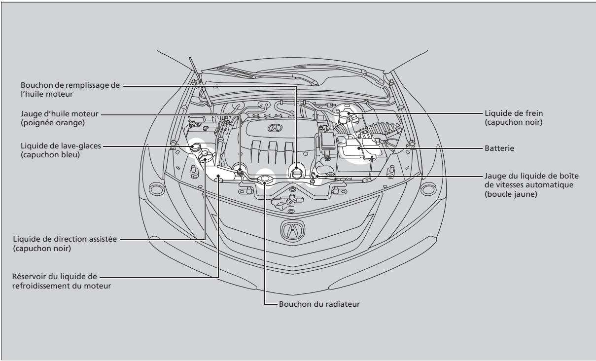Acura ZDX (2013) - Éléments d'entretien sous le capot - 1