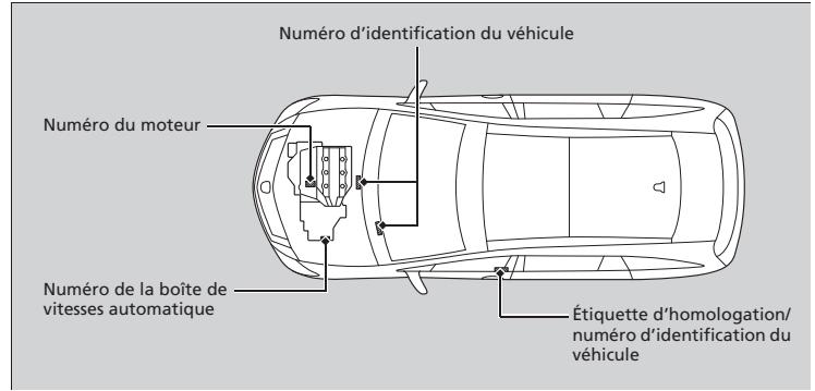 Acura ZDX (2013) - Numéro du moteur et numéro de la boîte de vitesses - 1
