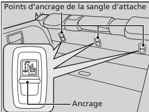 Acura ZDX (2013) - Sécurité améliorée avec une sangle d'attache - 1