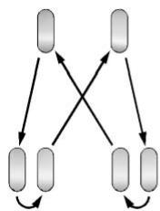 CHEVROLET Silverado (2012) - Permutation des pneus - 2
