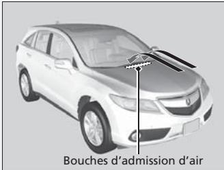 Acura RDX (2013-2016) - Lavage du véhicule - 1