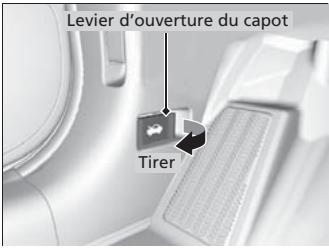Acura RDX (2013-2016) - Ouverture du capot - 1
