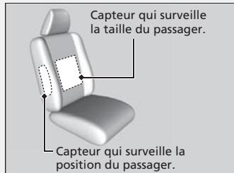 Acura RDX (2013-2016) - Témoin d'annulation du coussin de sécurité gonflable latéral - 1
