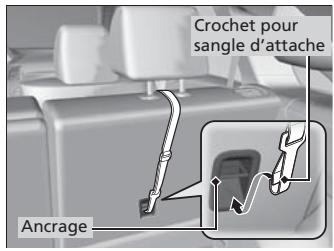 Acura RDX (2013-2016) - Sécurité améliorée avec une sangle d'attache - 2