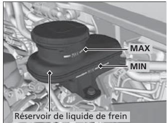 Acura RDX (2013-2016) - Vérification du liquide de frein - 1