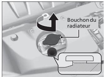 Acura RDX (2013-2016) - Radiateur - 1