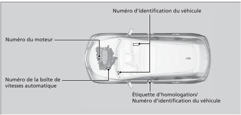 Acura RDX (2013-2016) - Numéro d'identification du véhicule (NIV), numéro du moteur et numéro de la boîte de vitesses - 1