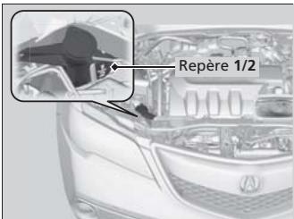 Acura RDX (2013-2016) - Remplissage du réservoir du liquide de lave-glaces - 1