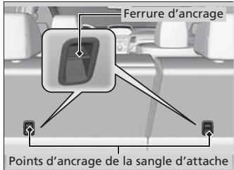 Acura RDX (2013-2016) - Sécurité améliorée avec une sangle d'attache - 1
