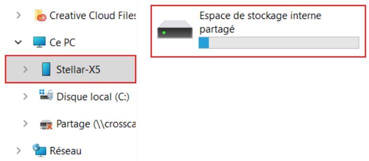 CROSSCALL StellarX5S - Sortie de la synthèse vocale - 1