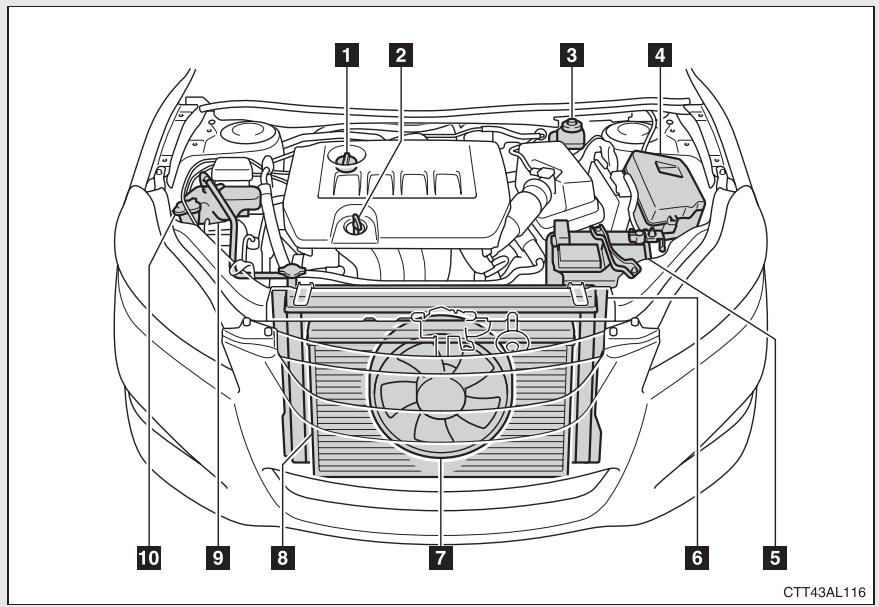 TOYOTA Matrix (2014) - Lorsque you levez votre vehicule - 2