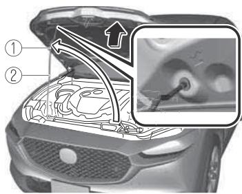MAZDA CX-30 (2019) - ▼ Ouverture du capot - 3