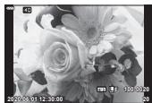 OLYMPUS EM10MARKIV - (Zoom de lecture) - 1