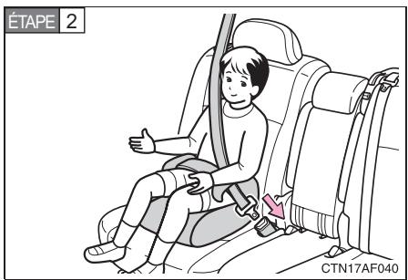 TOYOTA Highlander (2009) - Coussin de rehausse - 2