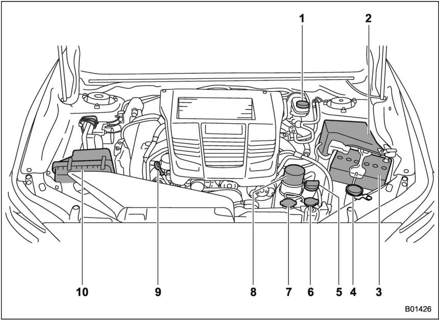 SUBARU WRX STI (2019) - Saufsti - 1