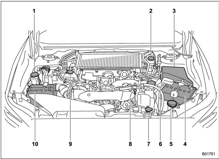 SUBARU WRX STI (2019) - Vue d'ensemble du compartiment moteur - 1