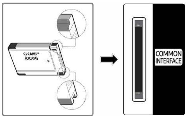 SAMSUNG TQ75QN70F - Connexion de la « carte CI ou CI+ » via la fente de l'COMMON INTERFACE - 1