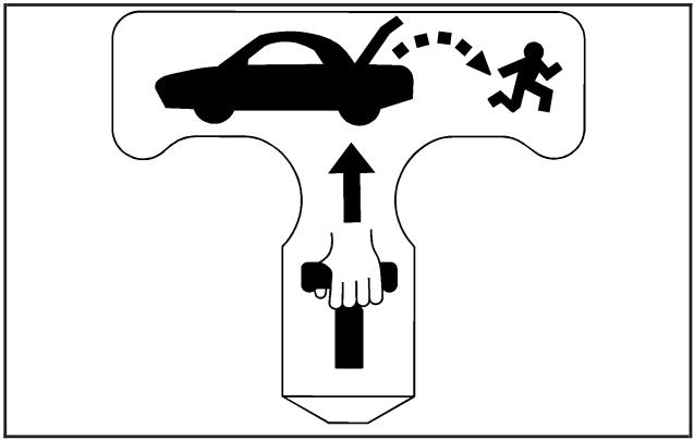 Buick Lacrosse 1 (2004-2009) - Poignée de déverrouillage d'urgence du coffre - 1