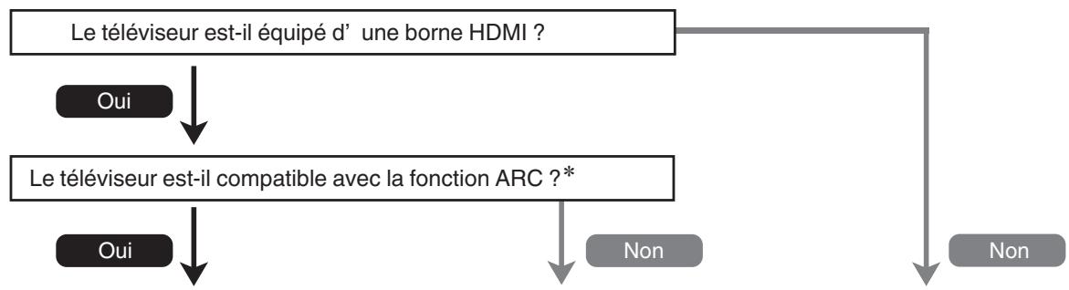 DENON DRA900H - Connexion d'un téléviseur - 1