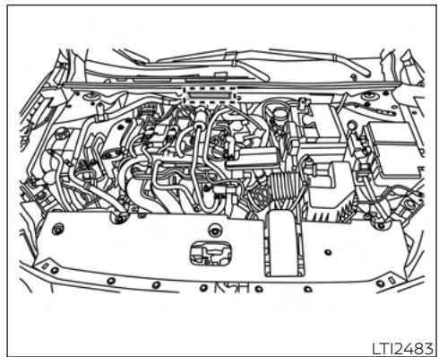 NISSAN Sentra 2024 - IDENTIFICATION DU VEHICULE - 2