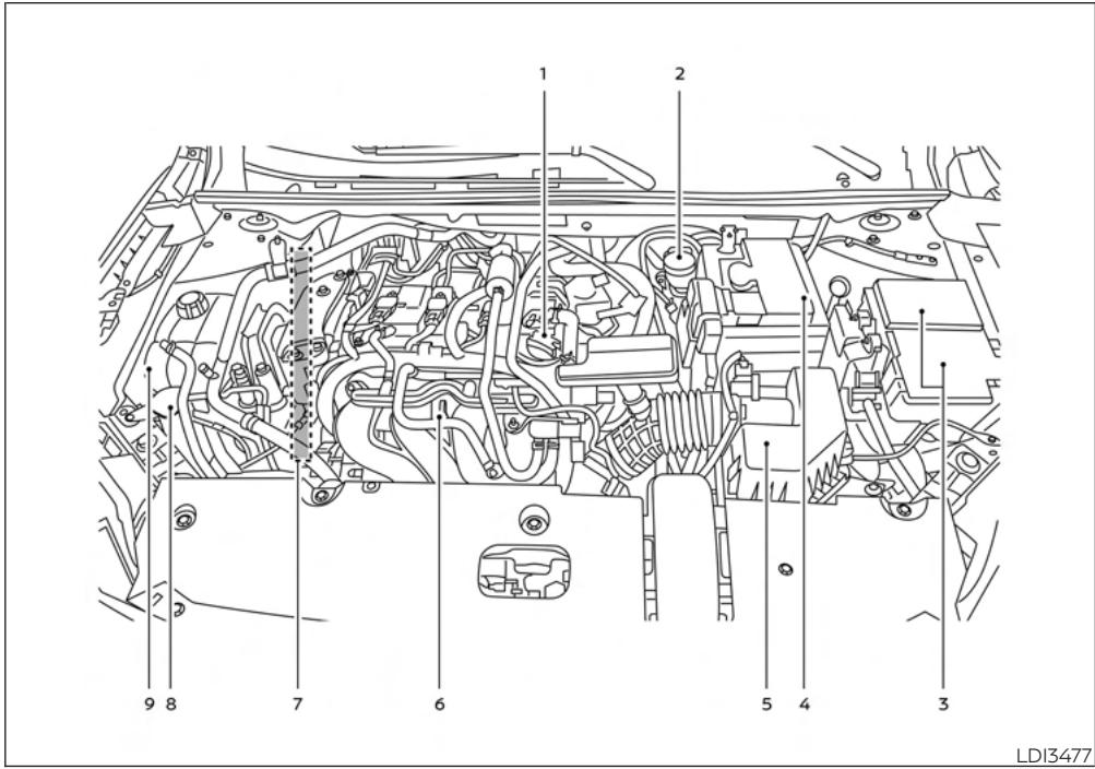 NISSAN Sentra 2024 - POINTS DE VERIFICATION DANS LE COMPARTIMENT MOTEUR - 1