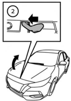 NISSAN Sentra 2024 - CAPOT - 2