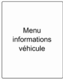 Menu informations véhicule