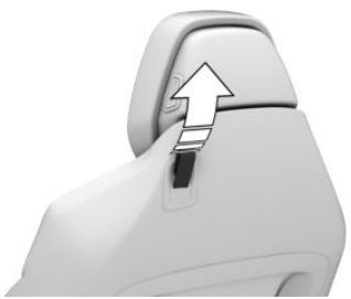 BMW Série 8 Cabriolet (2025) - Basculement du dossier - 1