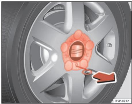 SEAT Cordoba (2002-2009) - Enjoliveurs de roue - 1