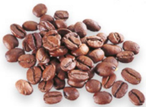 MAGIMIX LeMiniPlus18250F - Milkshake café - 1