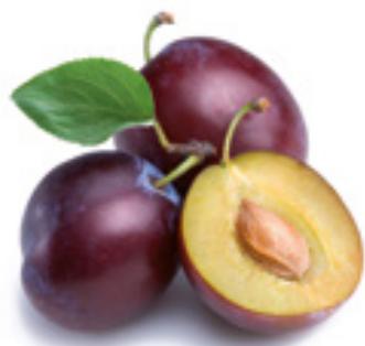 MAGIMIX LeMiniPlus18250F - Clafoutis aux prunes - 1