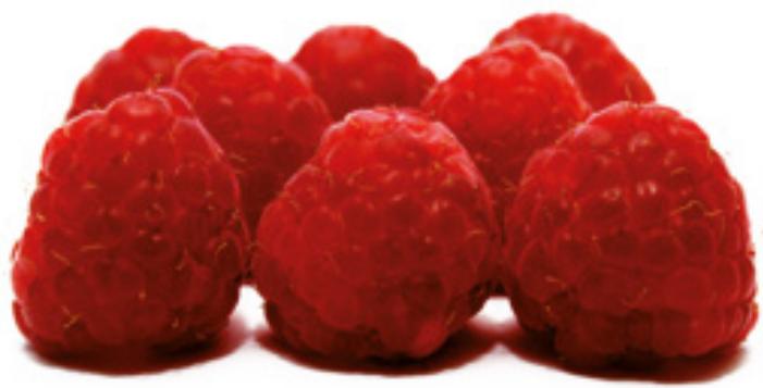 MAGIMIX LeMiniPlus18250F - Mousse glacée aux framboises - 1