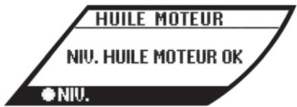 NISSAN GT-R Phase 5 (2017) - AFFICHAGE D'INFORMATIONS SUR LE VEHICULE - 1