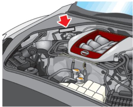 NISSAN GT-R Phase 5 (2017) - PLAQUE PORTANT LE NUMERO D'IDENTIFICATION DU VEHICULE (VIN) - 1