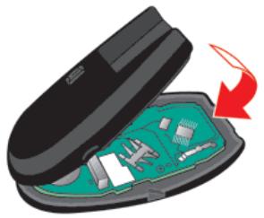 NISSAN GT-R Phase 5 (2017) - AVIS - 1