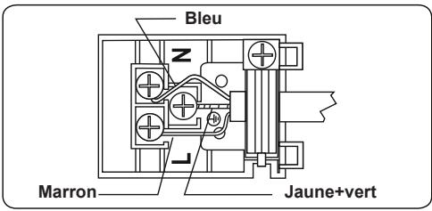 TELEFUNKEN TK2VM - BRANCHEMENT ÉLECTRIQUE ET SECURITE - 3