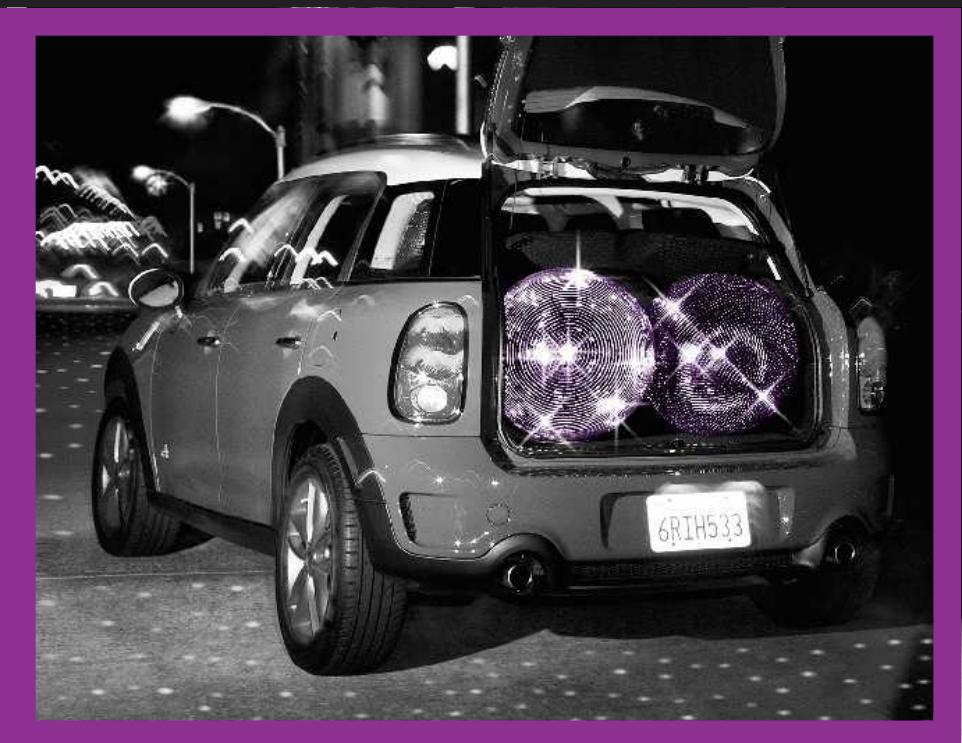 MINI Countryman (2014-2017) - QUE FAIRE SI... - 1