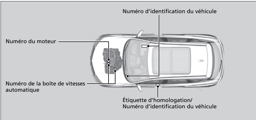 Acura RDX (2019) - Numero d'identification du vehicule (NIV), numero du moteur et numero de la boite de vitesses - 1